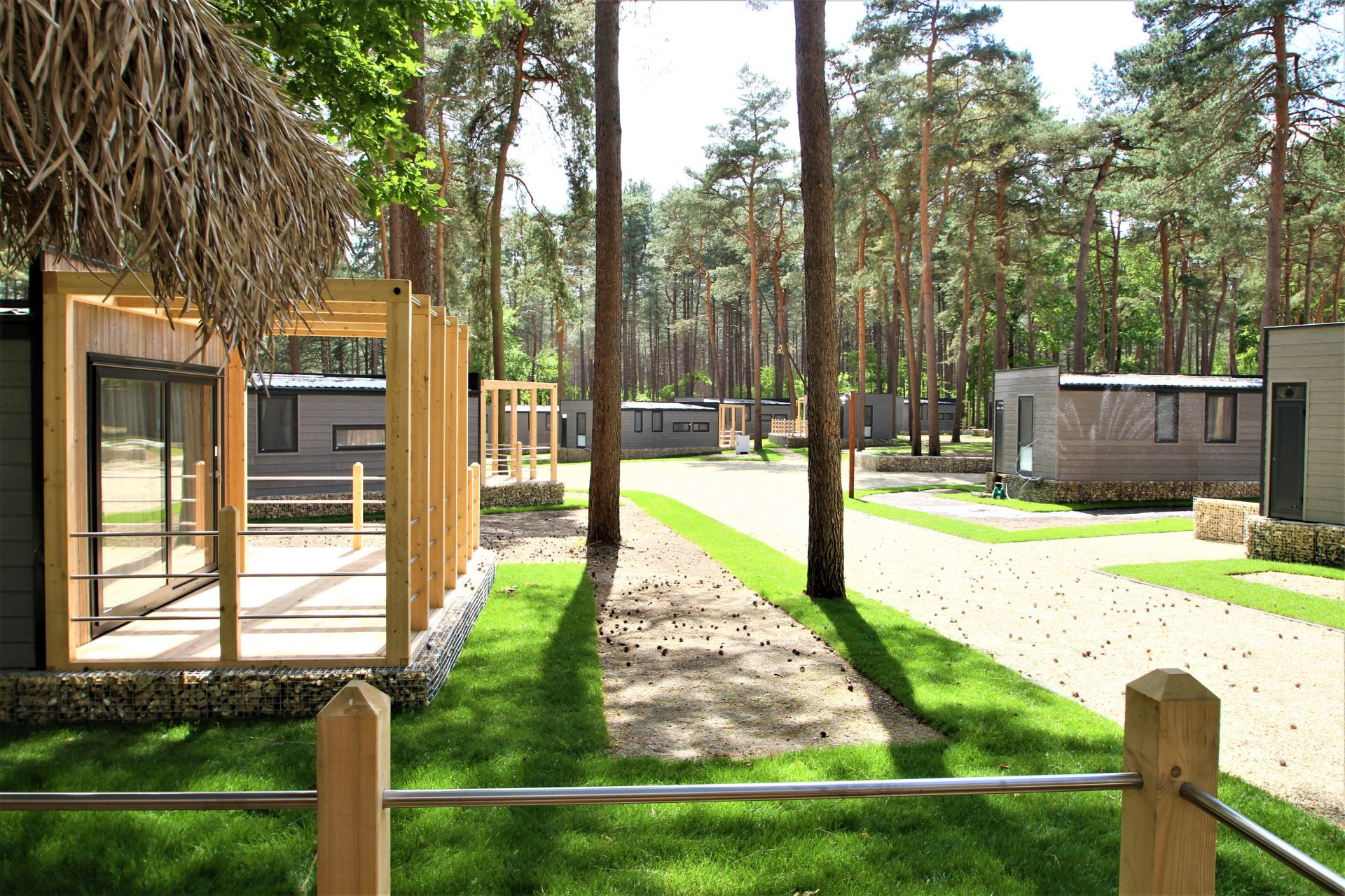 Ekologiczne domki modułowe w otoczeniu lasu